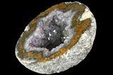 Las Choyas Coconut Geode Half with Calcite & Amethyst - Mexico #180558-2